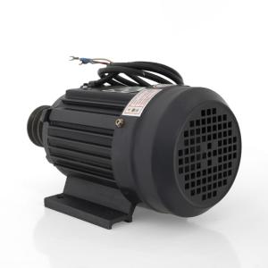 Электродвигатель к Куттеру DPX45  