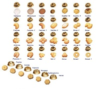 Тестоотсадочная машина в напольном исполнении МТК-100А/35