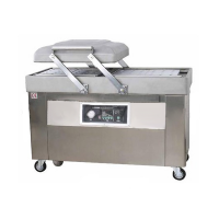 Вакуумный упаковщик DZ-700/2SB (AR)